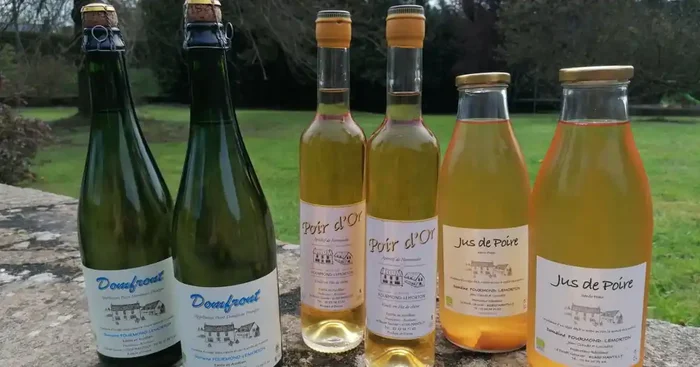 100% Poire Poiré Domfront, Jus de Poire et Apéritif x6