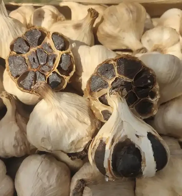 1KG DE TETE D‘AIL NOIR BIO