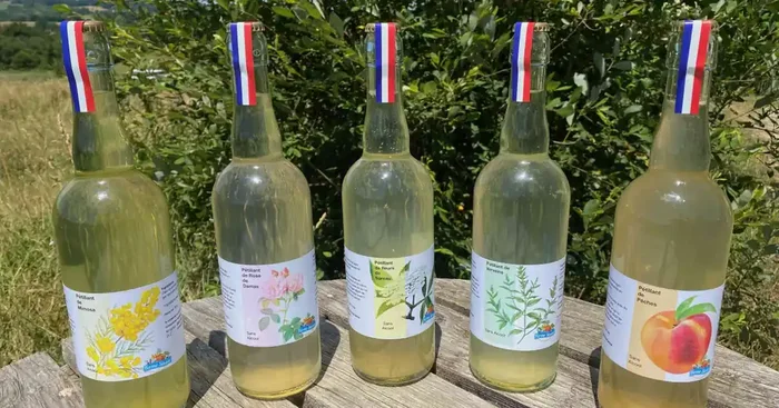 5 cartons de 6 pétillants (30 x 75 cl)