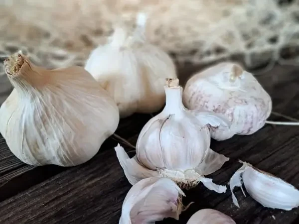 Ail drômois Bio – 200 g