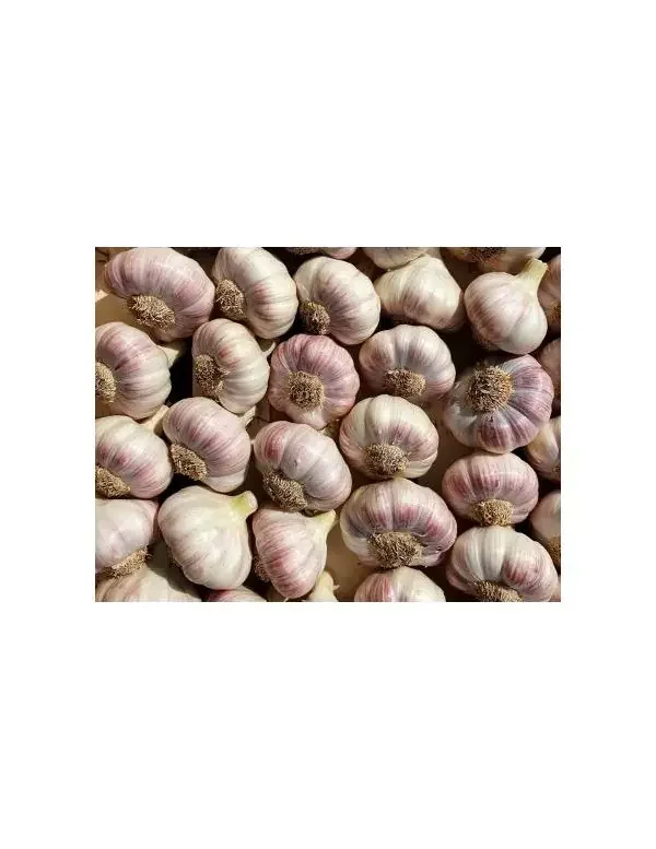 Ail Rose Vrac – Origine France