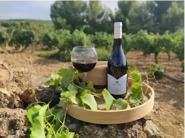 AOC Corbières – Tradition Domaine Miradels 2017 – 3 bouteilles