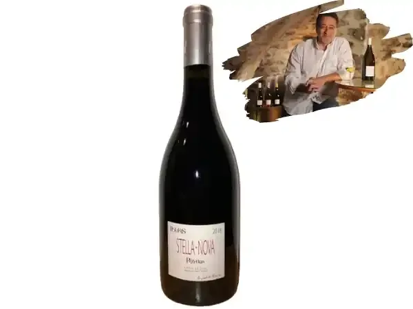 AOC Coteaux du Languedoc Bio – Stella Nova – Pezenas Polaris Rouge