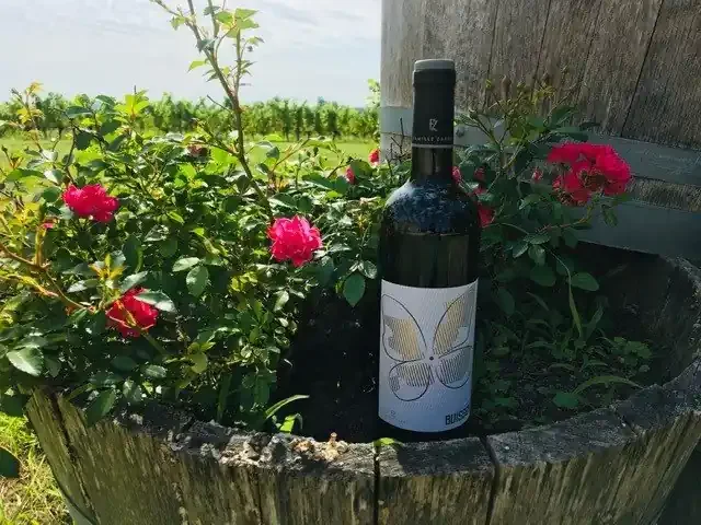 AOP Bordeaux rouge – 2022 – 3x75cl