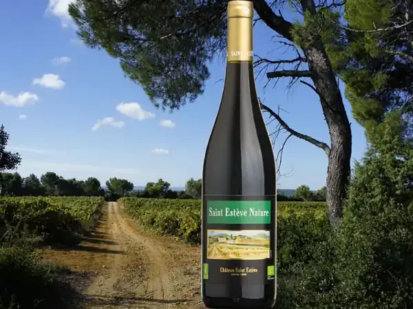 AOP Saint Estève NATURE – Sans Sulfite – BIO Rouge 2021 Villages Massif d‘Uchaux
