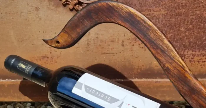 AOP Ventoux Vin Rouge 2019 x 6