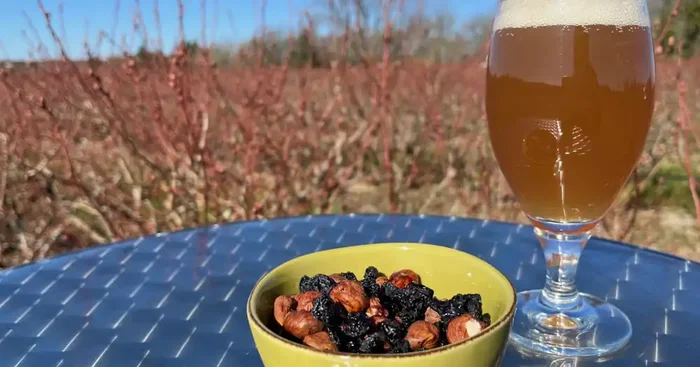 « Apéro » myrtilles deshydratées et noisettes – 100g