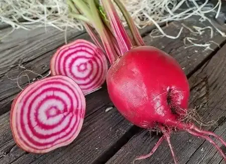 Betterave Chiogga Bio – 1 kg