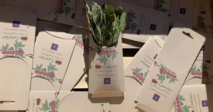 Bouquet De Laurier Séché