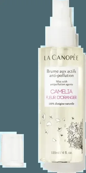 Brume Actifs Anti-Pollution