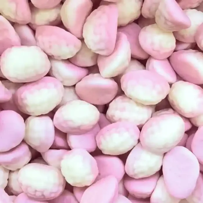 ? Cerveaux – Frisia (100g) ?