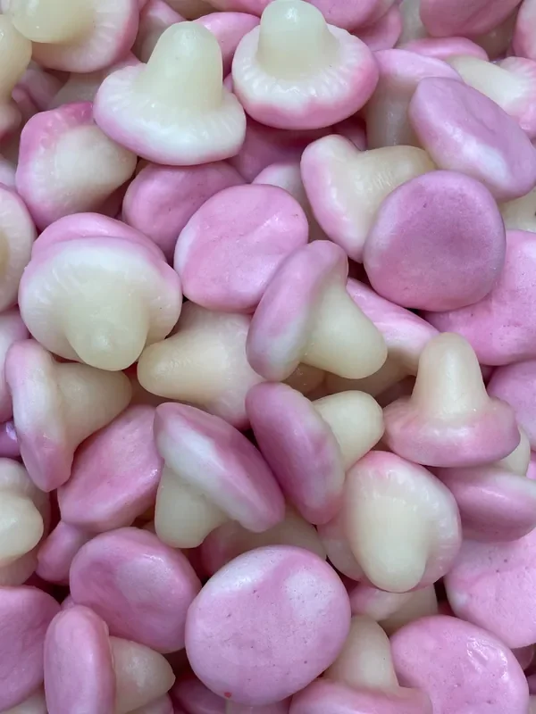 Champignons gelés lisses 100g