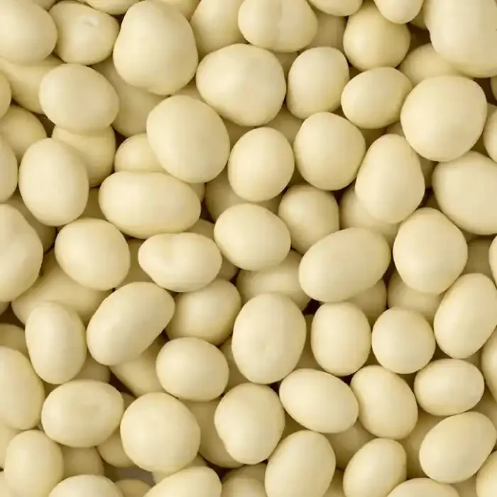 ? Choco Jumbo Raisin White (100g)