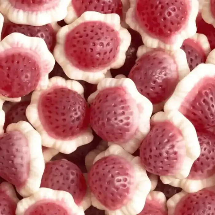 ? Fraise Fourrée Crème – Vidal (100g)