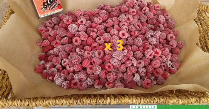 Framboise d‘Eté surgelée – 3kg