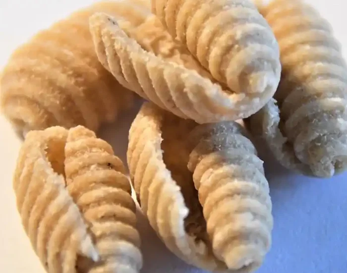 Pâtes – Gnocchi de Blé Khorasan Biodynamique 500G