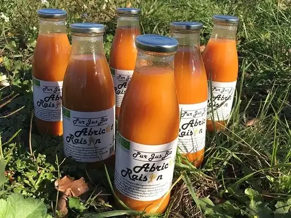 Pur jus d‘abricots et de raisins blanc Bio – 6x75cl