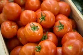 Tomates du potager