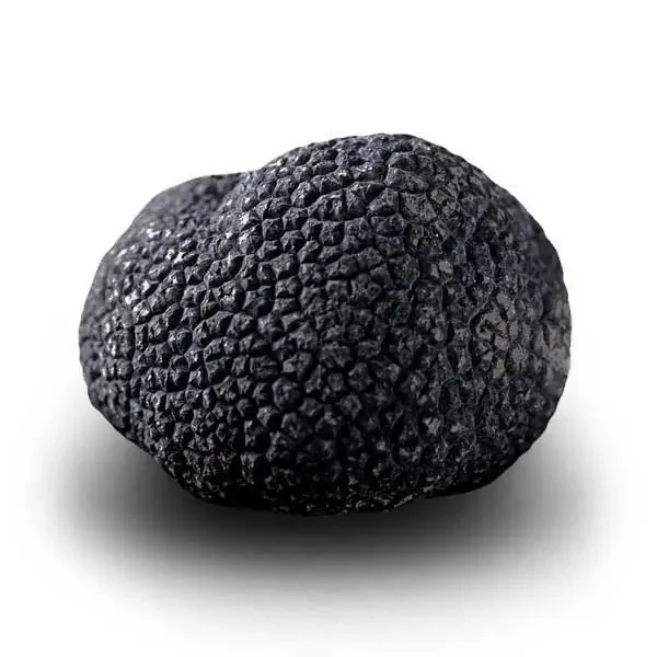 Truffe Noire du Périgord Surgelée (Tuber Melanosporum) de 105g +/-5g