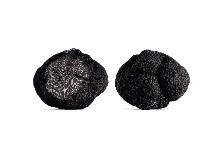 Truffes Noires Fraiches Entières Du Périgord Tuber Mélanosporum – 1ère Catégorie