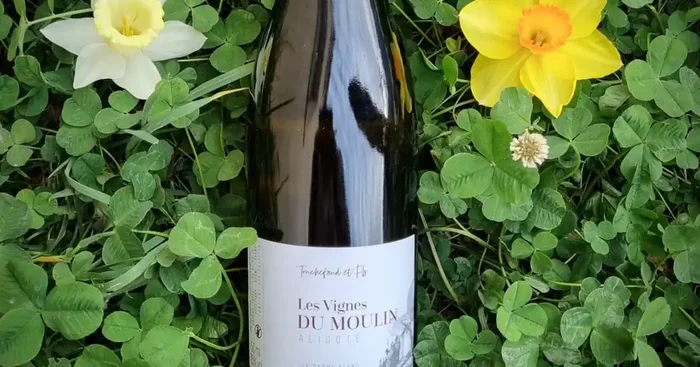 Vin Blanc IGP Drôme – Les Vignes du Moulin