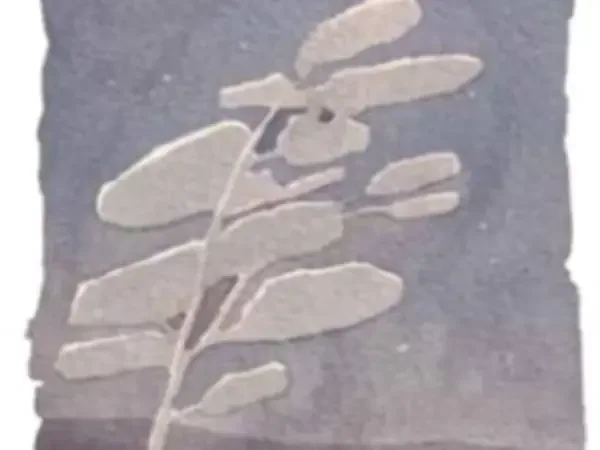 Vin Rouge AOC Ventoux – Grandeur Nature 2022