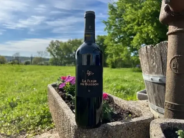 Vin rouge AOP Bordeaux supérieur – 2022 – élevé en barriques – 75cl