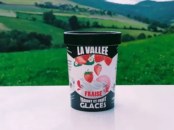 Yaourt glacé à la fraise « la Vallée » 500ml