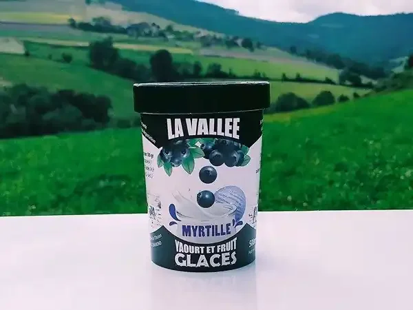 Yaourt glacés à la myrtille « la Vallée » 500ml